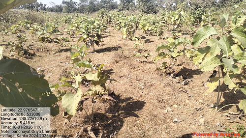 Impact Project Image